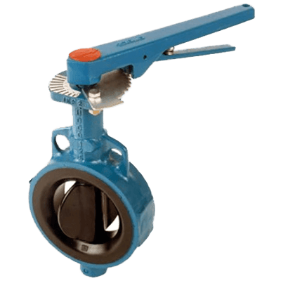 Durco Butterfly Valve, RX